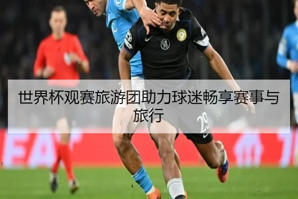 世界杯观赛旅游团助力球迷畅享赛事与旅行