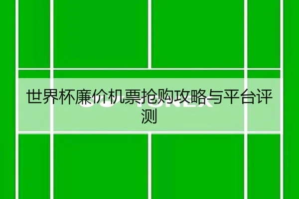 世界杯廉价机票抢购攻略与平台评测