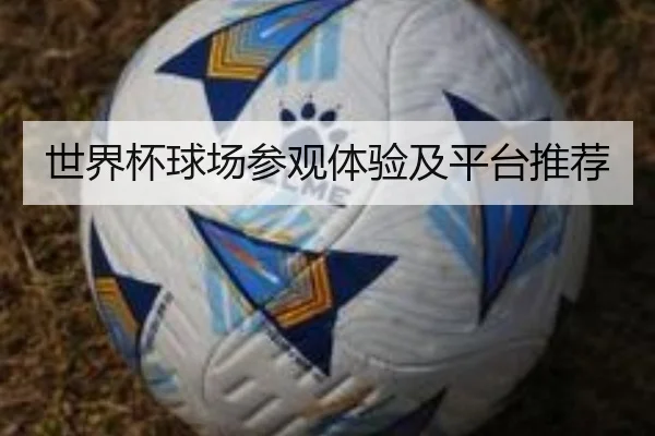 世界杯球场参观体验及平台推荐