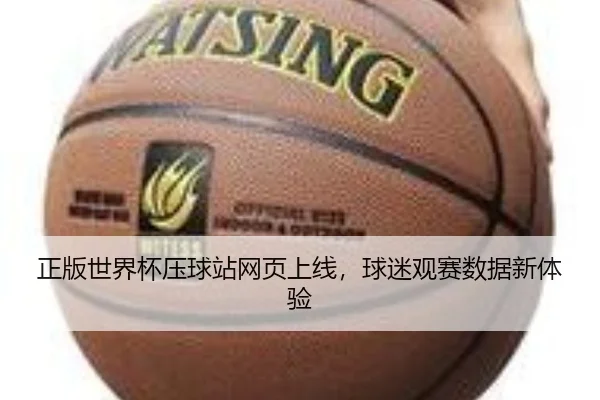 正版世界杯压球站网页上线，球迷观赛数据新体验