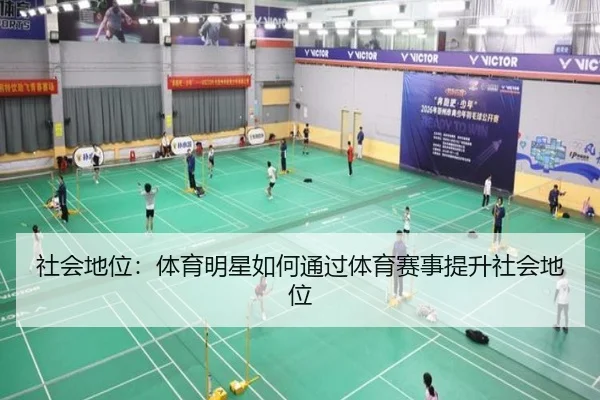 社会地位：体育明星如何通过体育赛事提升社会地位