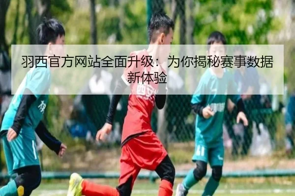 羽西官方网站全面升级：为你揭秘赛事数据新体验