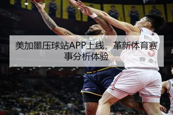 美加墨压球站APP上线，革新体育赛事分析体验